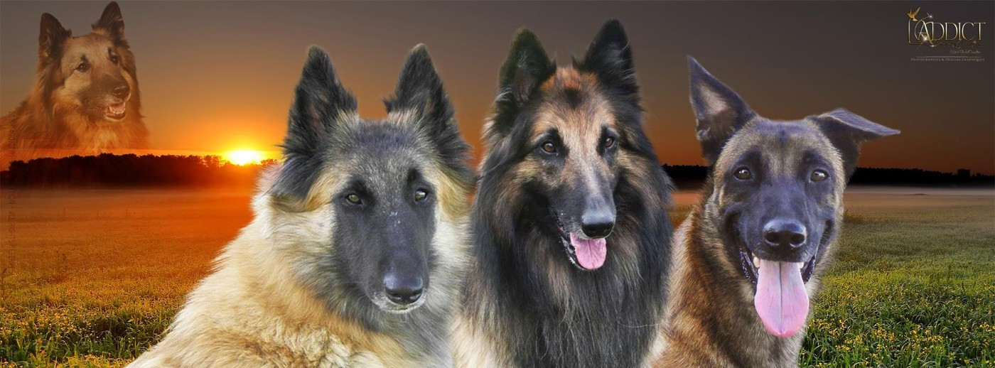 Des Gardiens De L'Enfer